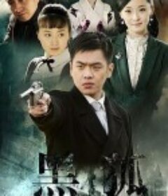 黑狐            (2011)