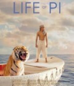 少年派的奇幻漂流 Life of Pi            (2012)