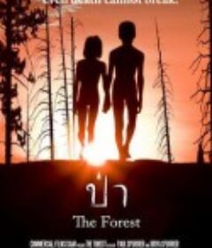 我的森林 The Forest            (2016)