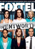 温特沃斯 第一季~第九季 Wentworth Season 1-9            (2013-2021)
