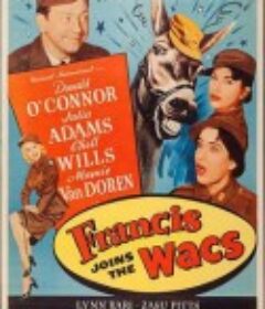 神骡大闹脂粉阵 Francis Joins the WACS            (1954)