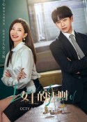 女士的法则            (2022)
