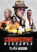 纠正措施 Corrective Measures            (2022)