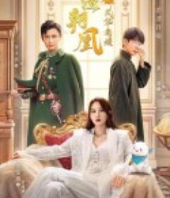 万渣朝凰之风华名媛            (2022)