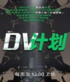 DV计划            (2022)