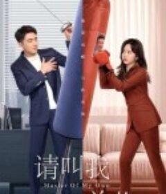 请叫我总监            (2022)