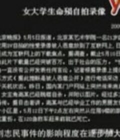 纪录片：流血的黄色录像            (2006)