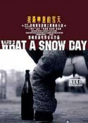 我最中意的雪天            (2001)