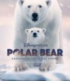 北极熊 Polar Bear            (2022)