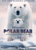 北极熊 Polar Bear            (2022)