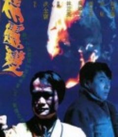 精灵变 精靈變            (1992)