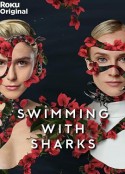 与鲨同游 Swimming with Sharks            (2022)