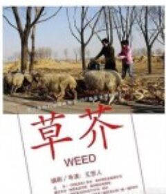 草芥            (2006)