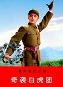 奇袭白虎团            (1972)