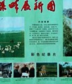 红旗渠畔展新图            (1975)