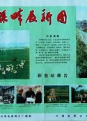 红旗渠畔展新图            (1975)
