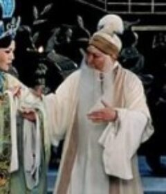 程婴救孤            (2008)