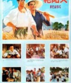 艳阳天            (1973)