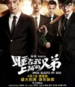睡在我上铺的兄弟            (2016)