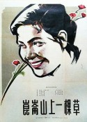 昆仑山上一棵草            (1962)