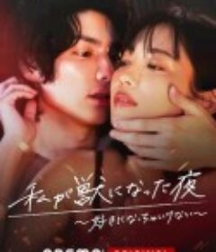 我变成野兽的夜晚〜爱上不该爱的人〜 私が獣になった夜〜好きになっちゃいけない〜            (2022)