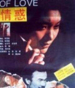 情惑            (1991)
