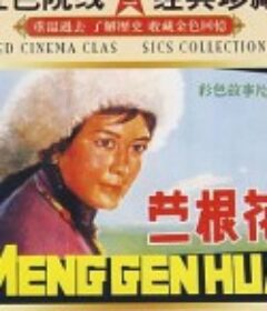 蒙根花            (1978)