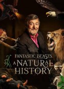神奇动物：一段自然历史 Fantastic Beasts: A Natural History            (2022)