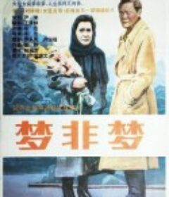 梦非梦            (1993)