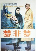梦非梦            (1993)