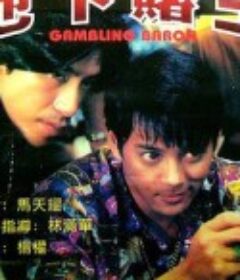地下赌王 地下賭王            (1994)