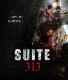 313套房 Suite 313            (2017)