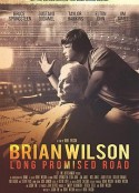 布莱恩·约翰逊：漫长的承诺之路 Brian Wilson: Long Promised Road            (2021)