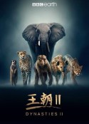 王朝 第二季 Dynasties Season 2            (2022)