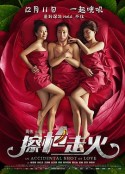 擦枪走火            (2015)