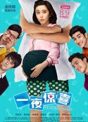 一夜惊喜            (2013)