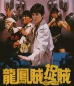 龙凤贼捉贼 龍鳳賊捉賊            (1990)