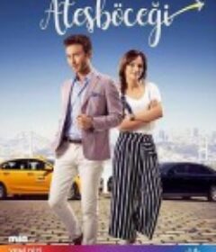 萤火虫 Atesböcegi            (2017)