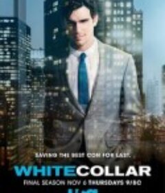 妙警贼探 第六季 White Collar Season 6            (2014)