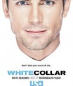 妙警贼探 第五季 White Collar Season 5            (2013)