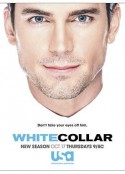 妙警贼探 第五季 White Collar Season 5            (2013)