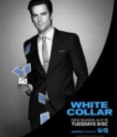 妙警贼探 第四季 White Collar Season 4            (2012)