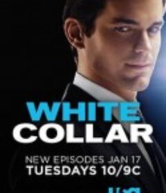 妙警贼探  第三季 White Collar Season 3            (2011)