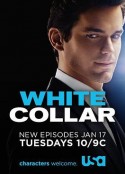 妙警贼探  第三季 White Collar Season 3            (2011)