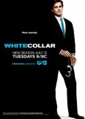 妙警贼探  第二季 White Collar Season 2            (2010)