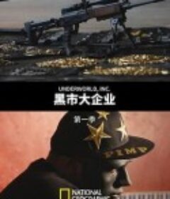 黑市大企业 第一季 Underworld Inc. Season 1            (2015)