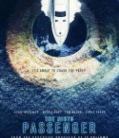 第九名乘客 The Ninth Passenger            (2018)