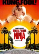 比佛利武士 Beverly Hills Ninja            (1997)