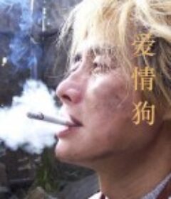 爱情狗            (2009)