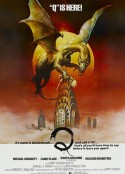 翼龙 Q            (1982)
